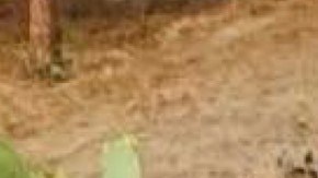 Roque  Arreguín rodeado de sus tres  hijas.  / fotos: suministradas.