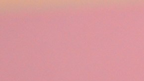 alvaro davila pati chapoy