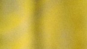 El expresidente Bill Clinton enfrentó un juicio político en 1998.