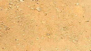 Construcción del muro.