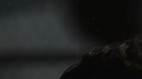 chofis lopez se despide chivas