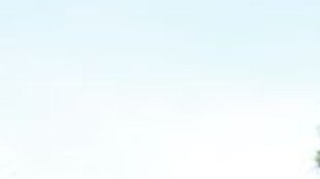 Los Ángeles es la ciudad de California con mayor cantidad de denuncias de crímenes de odio.