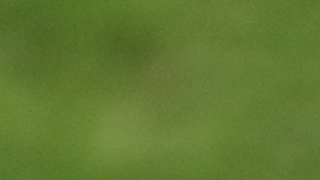 cuando empieza concachampions 2021