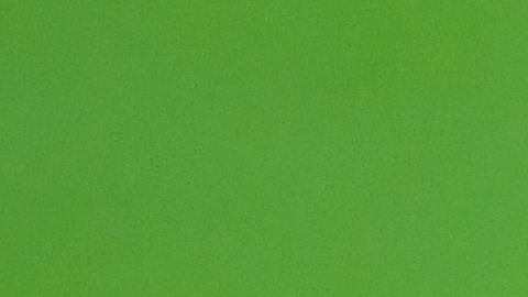 tigres mundial de clubes 2021