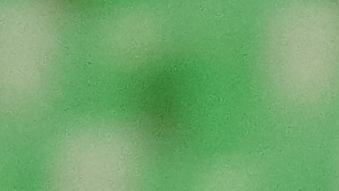 cuanto pide cruz azul por cabecita