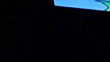 dustin poirier esposa