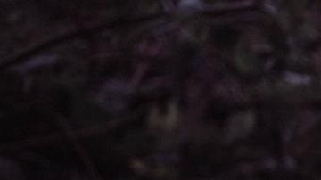 Objetos de brujería.