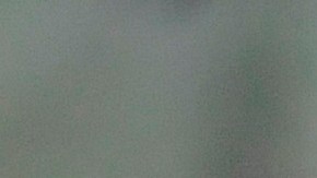 Marcelo Gallardo, actual técnico de River Plate.