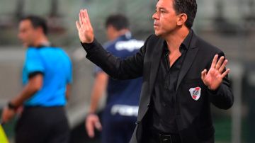 Marcelo Gallardo, actual técnico de River Plate.