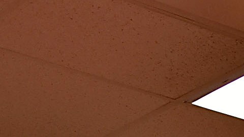 Gonzalo Saldaña, toda una institución dentro del Tri.