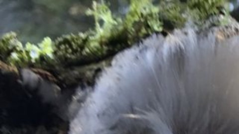 El hielo capilar se derrite con solo tocarlo.
