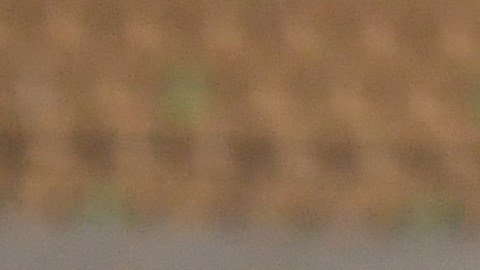 El momento preciso en que Iñaki Williams mandó el balón a las redes.