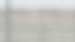 joao maleck tepatitlan