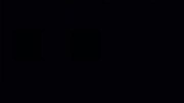 Kamala Harris, vicepresidenta y seguidora de los Golden State Warriors.