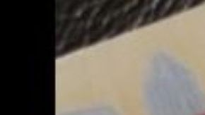 Una persona indocumentada no puede obtener una licencia de conducir en Texas.