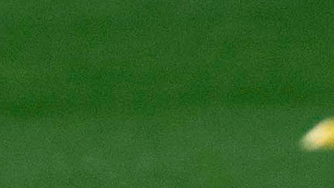 Leo Messi es la gran duda para la final de la Supercopa.