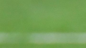 Marin Odegaard, una promesa que tampoco complace a Zidane.