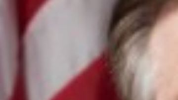 El vicegobernador de Texas Dan Patrick.