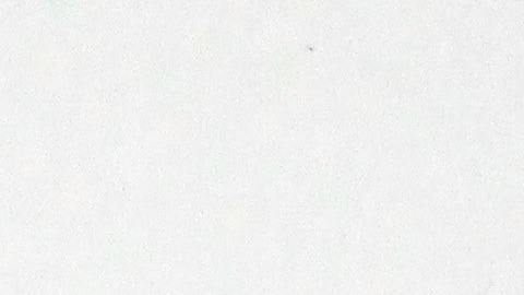 Los cheques en papel tardarán más tiempo en llegar.