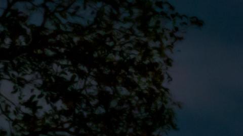 Luna llena en su máximo esplendor.
