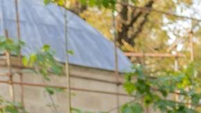 Hay signos que son compatibles en el amor, pero no llegan a entenderse.