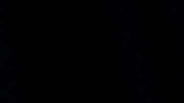 El presidente electo Joe Biden junto a la vicepresidenta electa Kamala Harris / foto: getty.