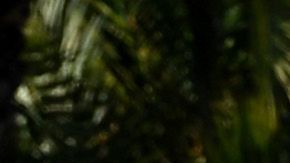 A diario se realizan miles de pruebas para detectar el virus en el condado angelino. / foto: getty