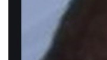 Foto de Rosa Jiménez el día de su arresto.