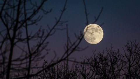 Luna llena.