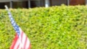 Donald Trump fue recibido por sus seguidores en Palm Beach.