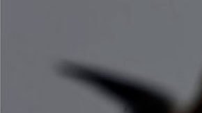 La nave SN9 del programa Starship no pudo lograr su objetivo de descender de manera controlada.