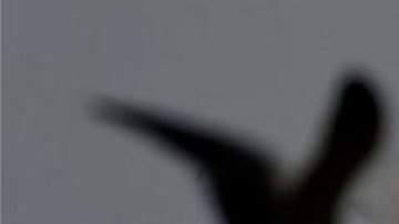 La nave SN9 del programa Starship no pudo lograr su objetivo de descender de manera controlada.