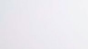 La visita del equipo internacional de la OMS está estrictamente controlada por las autoridades chinas.