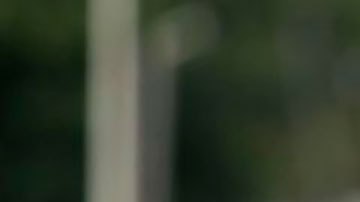 El presidente Jovenel Moïse denunció un complot para matarlo.