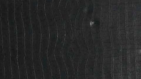 Jenni Rivera y Esteban Loaiza