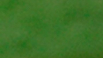 Tom Brady y Tyrann Mathieu