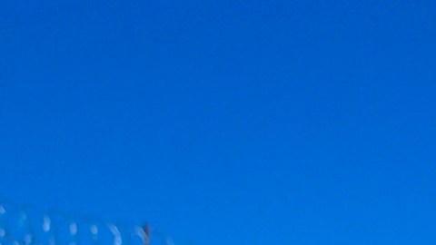 Los demandantes denuncian que la tasa de liberación ha descendido drásticamente.