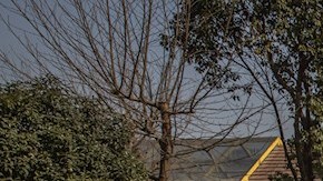 Funcionarios chinos salen de una conferencia de prensa donde se alojan miembros de la Organización Mundial de la Salud, en Wuhan, China, para conocer el origen del coronavirus.