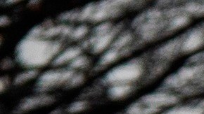 Los Congresistas trataron que demostrar que los mensajes de Trump provocaron el asalto al Capitolio.