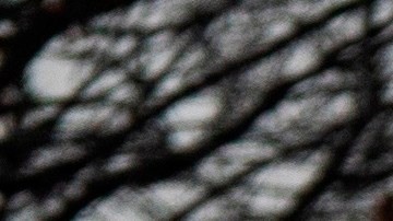 Los Congresistas trataron que demostrar que los mensajes de Trump provocaron el asalto al Capitolio.