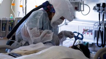 Médicos investigan lo que podría tratarse del primer caso de muerte por COVID-19 a través de un transplante.