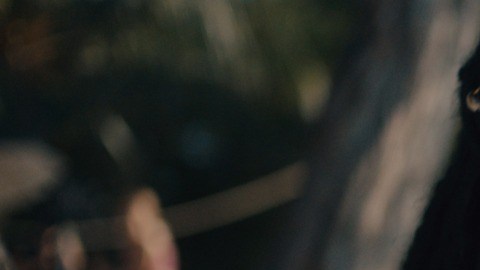 Davina Bennett y Maluma durante la filmación de '7 días in Jamaica', un álbum de 7 canciones. Foto: Angello Faccini