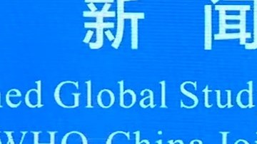 Expertos de la OMS que investigan el origen del coronavirus aseguran que es improbable que el SARS-CoV-2 saliera de un laboratorio.