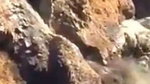 Autoridades de rescate de la India buscan a personas desaparecidas tras avalancha de lodo en zona montañosa del Himalaya.
