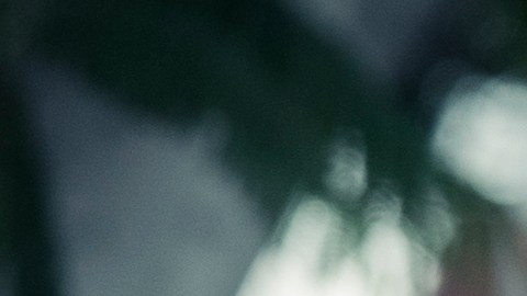 Owen Wilson y Salma Hayek en Bliss.