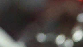 De la mano de Tom Brady, Tampa Bay cerró con broche de oro la temporada.