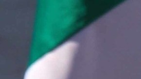 INAI, organismo de transparencia de México, pide a Fiscalía dar a conocer itinerario de vuelo de traslado de Emilio Lozoya.