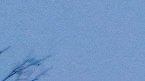 Un letrero que dice 'Condenar o ser cómplice' cuelga de un puente en Washington D.C.