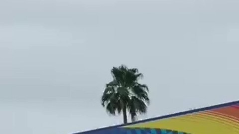 Desabasto de gasolina en el sur de Texas, provocado por la falta de energía eléctrica, está provocando compras de pánico del combustible.