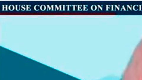 En videoconferencia, el congresista Tom Emmer aparece de cabeza.